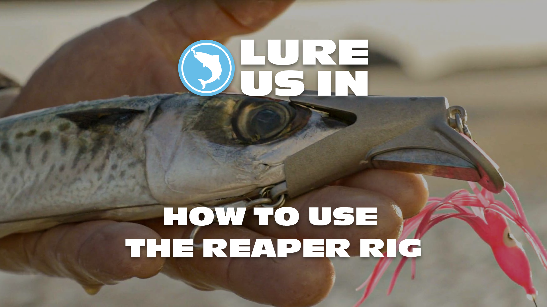 Load video: Watch // How to use the Reaper Rig Lure